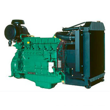 Generador de potencia de elefante de 250kVA Deutz Engine